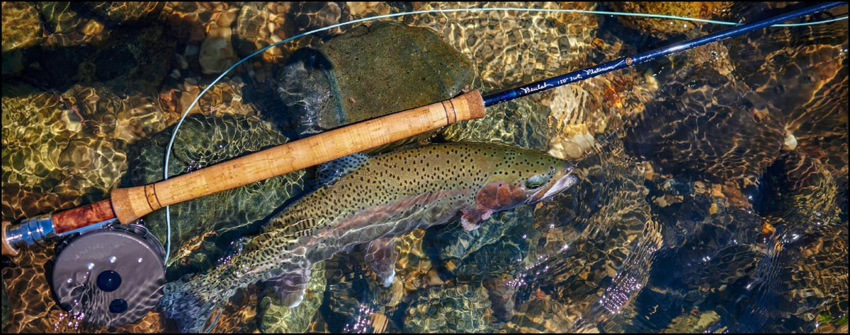 Creek Fever  Tactics and Tools for the Small Stream - Telluride Angler