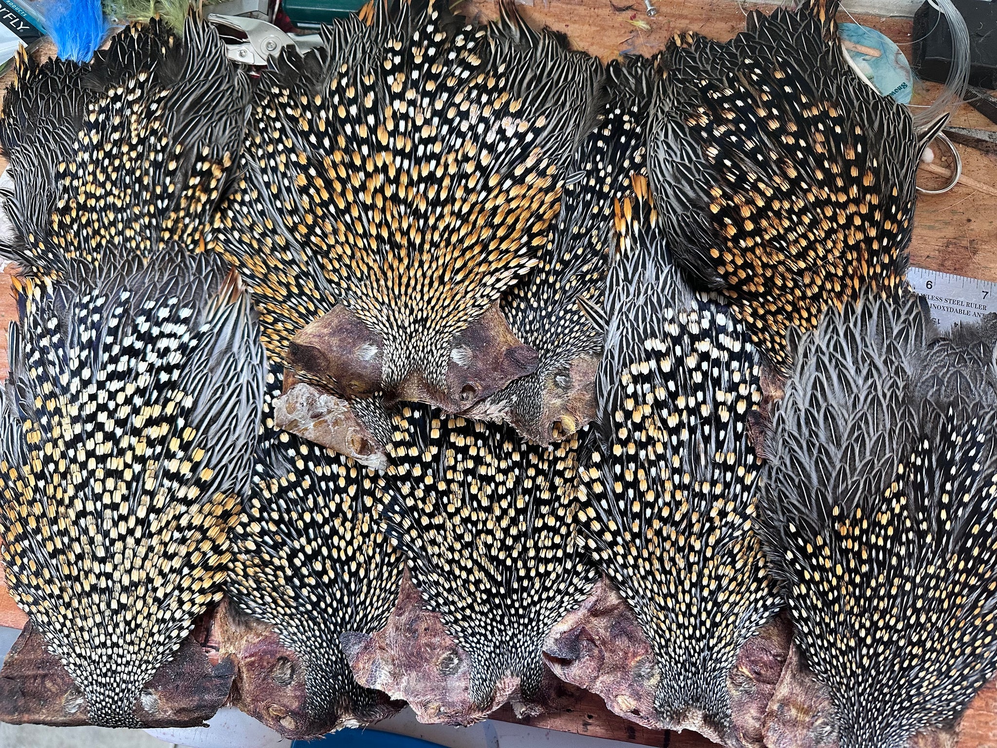 Adams Jungle Cock Cape フライマテリアル IMG_0498_2048x.jpg?v=1675278384