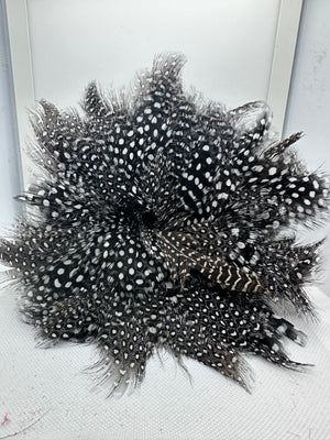 Open image in slideshow, Guinea Fowl Feathers
